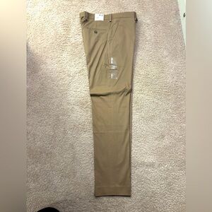 Express pants